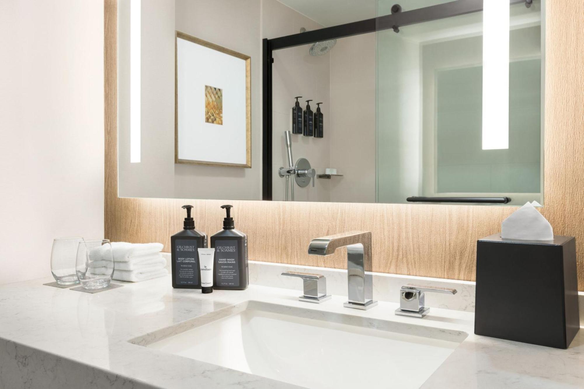 Sheraton Suites Chicago O'Hare Розмонт Екстер'єр фото